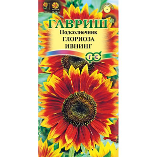 Семена Подсолнечник декоративный Глориоза Ивнинг Семена Подсолнечник декоративный Глориоза Ивнинг