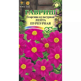 Семена Георгина Лента пурпурная