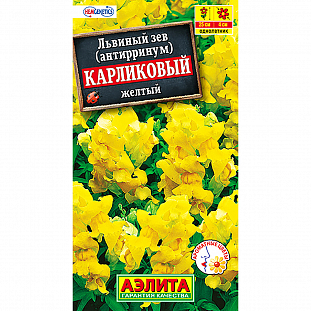 Семена Львиный зев карликовый желтый