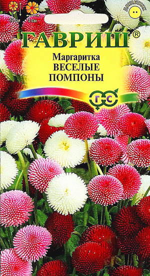 Семена Маргаритка Веселые помпоны.
Неприхотливое, очень зимостойкое растение из семейства Астровые высотой 12 см. Цветет в апреле-июле, при хорошем уходе цветение продолжается до осени с перерывом в жаркий период сезона. 
Соцветия в виде плотных помпонов, 3 см в диаметре, белой, розовой, красной окраски. Хорошо растет на любых почвах. 
Светолюбивое растение, но хорошо выдерживает легкое затенение. Семена высевают в конце июня - начале июля в открытый грунт, всходы появляются через 7-10 дней. 
Маргаритка прекрасно подходит для выращивания на клумбах, рабатках и в бордюрах, а также в горшках и балконных ящиках.