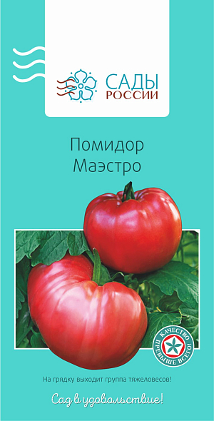 Семена Томат Маэстро