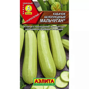 Семена Кабачок белоплодный Мальчуган