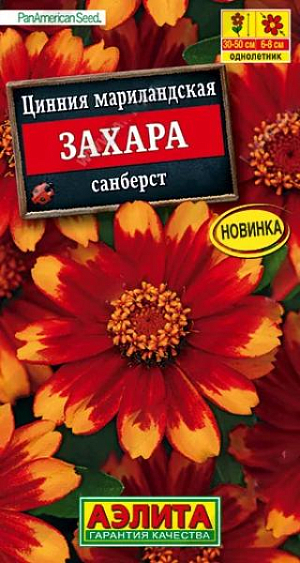 Семена Цинния Дабл Захара санберст. <br>
 <br>
 <br>
 Потрясающее цветение циннии серии Захара американской селекции от компании PanAmerican Seed, оставляет позади всех своих конкурентов! Растение формирует компактный, крепкий кустик высотой 30-50 см. Цветки крупные&nbsp; 6-8 см, остаются яркими и насыщенными даже в жаркую погоду. Сорт не восприимчив к грибковым заболеваниям. Неприхотлив, поэтому отлично подойдет для всех уголков вашего сада.<br>
 <br>
 <br>
 &nbsp;Циннии – растения теплолюбивые, быстрорастущие, относительно засухоустойчивые. Предпочитают солнечные участки с дренированными почвами среднего плодородия, нейтральной кислотности. В южных регионах возможен безрассадный способ выращивания.<br>
 <br>
 <br>
 <br>
 <br>