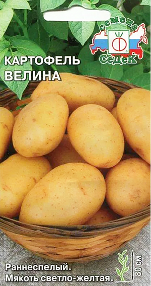 Семена Картофель Велина