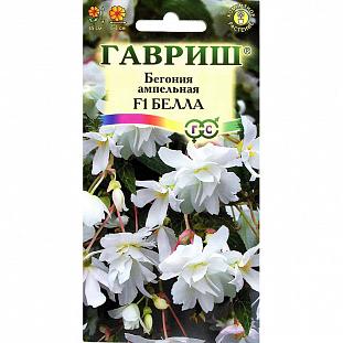 Семена Бегония Белла ампельная F1