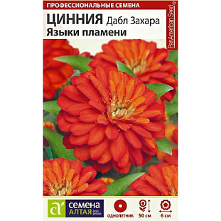 Семена Цинния Дабл Захара Языки пламени