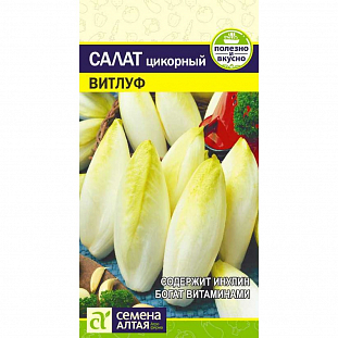 Семена Салат цикорий Витлуф