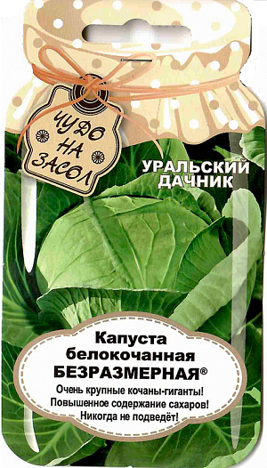 Семена Капуста белокочанная Безразмерная