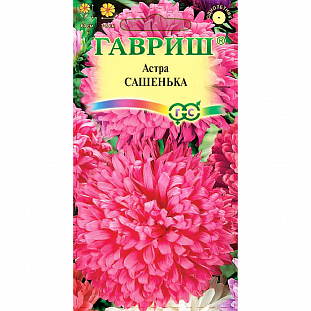 Семена Астра Сашенька