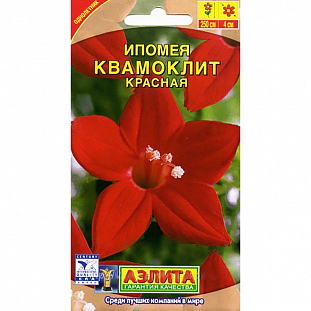 Ипомея Квамоклит красная