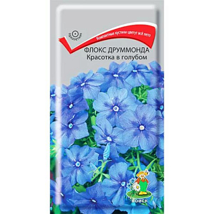 Семена Флокс Друммонда Красотка в голубом Семена Флокс Друммонда Красотка в голубом