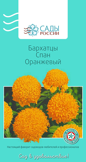 Бархатцы африканские Спан оранжевый

Бархатцы прямостоячие, или африканские. Куст крепкий, мощный, хорошо разветвленный с ярко-желтыми густомахровыми хризантемовидными соцветиями до 10 см в диаметре. Достаточно холодостойки, но рассаду высаживают в грунт, когда минует угроза заморозков.