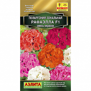 Семена Пеларгония Рафаэлла смесь окрасок зональная F1