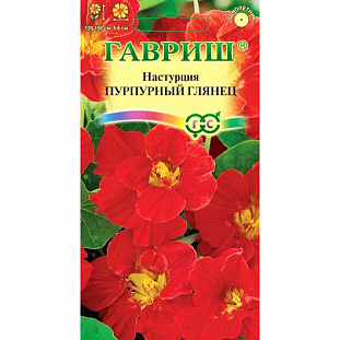Семена Настурция Пурпурный глянец