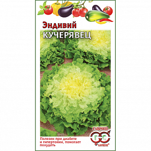 Эндивий Кучерявец Эндивий Кучерявец