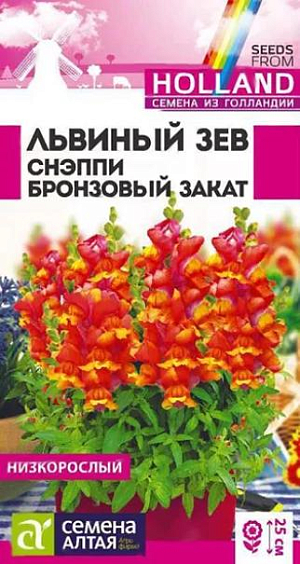 Семена Львиный зев Снэппи Бронзовый закат<br>
 <br>
 Великолепный низкорослый однолетник. Серия Snappy - исключительно компактная и очень ранняя, характеризующаяся прекрасным базальным ветвлением растений и богатой цветовой палитрой. Растения выравненные, компактные, не склонны к вытягиванию. Отличаются множеством ярких цветущих побегов высотой 20-25 см. Успешно применяется для создания бордюров, клумб, а так же для выращивания в горшках и контейнерах. Холодостойкое, засухоустойчивое растение. Хорошо растёт на солнечных участках, выносит небольшое затенение. Предпочитает плодородные почвы, не выносит переувлажнения. Выращивают рассадным способом или прямым посевом в грунт.<br>
