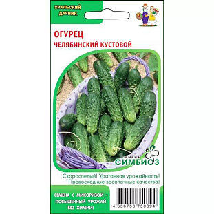 Семена Огурец Челябинский Кустовой (Симбиоз)