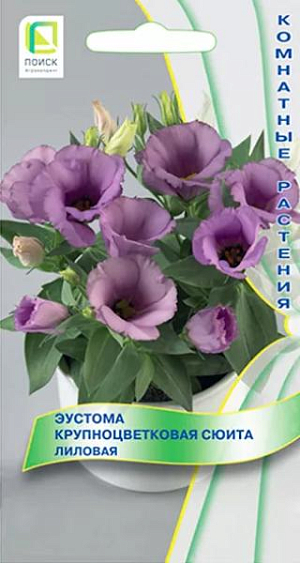 Семена&nbsp;Эустома крупноцветковая Сюита лиловая.&nbsp;Генетически низкорослая крупноцветковая серия.&nbsp;Растение компактное с хорошим ветвлением, высотой 15-20 см. Листья сизо-зеленые, словно покрытые воском. Цветы крупные воронковидные лиловые, диаметром 5 см. Не требует обрезки и прищипки. Выращивается в качестве горшечной культуры.&nbsp;<br>
 <br>
&nbsp;Агротехника.&nbsp;Предпочитает солнечное место. Требуется обильный полив по мере просыхания почвы и частое опрыскивание листьев. Зимует при температуре +10°С. Еженедельные подкормки способствуют более пышному и продолжительному цветению. Драже высевают с февраля по август в ящики с легким песчаным грунтом, слегка вдавливая их в почву. Драже обильно опрыскивают из пульверизатора для растворения оболочки. Контейнеры накрывают плёнкой для обеспечения максимальной влажности воздуха и субстрата в первые 7-10 дней после посева. Оптимальная температура почвы для прорастания +20-25°С, всходы появляются через 10-15 дней. Сеянцы необходимо притенять, пикировать через месяц после всходов по 3-5 штук в горшок, диаметром 10-15 см, с питательной рыхлой почвой. Цветение через 6-7 месяцев