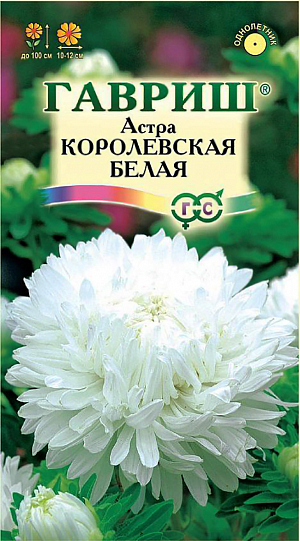 Семена Астра Королевская Белая.
Растение колоновидной формы, с прочными цветоносами высотой до 100 см. 
Соцветия крупные, пионовидные, белой окраски, диаметром 10-12 см. 
Для выращивания подходят хорошо освещенные участки с плодородной суглинистой или супесчаной почвой. 
Астры обладают высокой холодостойкостью – хорошо переносят заморозки до -3-4°C. Выращивают, чаще всего, рассадным способом. 
Семена высевают в марте-апреле, пикируют с развитием первой пары настоящих листочков по схеме 5х5 см, в открытый грунт рассаду высаживают с середины мая до начала июня.
Возможен посев семян в открытый грунт ранней весной или под зиму с последующим мульчированием торфом или опилками.
Используются для получения высококачественной срезки и оформления участка.