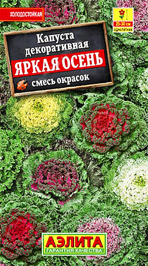 Семена Капуста декоративная Яркая осень смесь окрасок. <br>
 <br>
 Оригинальное по форме и окраске однолетнее травянистое растение высотой 20-30 см. Неприхотливое, холодостойкое. Листовые розетки до 30 см в диаметре расцвечивают яркими красками осенние цветники, когда летники начинают терять свою декоративность. Используется в одиночных и групповых посадках в миксбордерах и на клумбах, подходит для выращивания в крупных (не менее 10-15 л) контейнерах. Можно выращивать на “запасной” грядке, а в августе-сентябре пересадить на парадное место. Хорошо переносит пересадку с комом земли. Агротехника. Посев семян на рассаду на глубину 1 см. Пикировка в фазе семядолей. Высадка рассады в грунт со второй половины мая, через 35-40 дней, в фазе четырех-пяти настоящих листьев. Возможен посев в открытый грунт в мае.<br>
 <br>
 <iframe width="405" height="720" src="https://www.youtube.com/embed/fmFbcJXcEGg?feature=oembed" frameborder="0" allow="accelerometer; autoplay; clipboard-write; encrypted-media; gyroscope; picture-in-picture; web-share" allowfullscreen="" title="Капуста декоративная">
</iframe> <br>