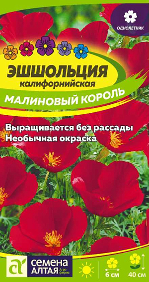 Эшшольция Малиновый король

Один из самых очаровательных и неприхотливых однолетников. Высаживается большими группами и образует ажурное переплетение из многочисленных побегов с тонко-рассеченными сизоватыми листьями и очаровательными малиновыми чашечками цветков диаметром 5-6 см. Высота растения достигает 40 см. Растение для занятых людей, бывающих в саду нерегулярно. Исключительно неприхотливо, прекрасно цветёт на любых почвах и при любых капризах погоды. Своим цветением создаст радостное настроение на всё лето. Придаст легкость и изящность цветникам, клумбам, каменистым горкам, мавританским газонам.
Растение светолюбивое, холодо- и засухоустойчивое, к почвам нетребовательно, но наибольшей декоративности достигает на легких дренированных почвах. Отзывчиво на полив и внесение удобрений (кроме свежих органических). Посевы проводят в конце апреля – начале мая в открытый грунт сразу на постоянное место. Глубина заделки семян 0,5-1 см. При температуре почвы +15-18°С всходы появляются на 8-10 день. Сеянцы прореживают, выдерживая интервал между растениями 10-12 см. Пересадку растение не переносит. Цветение продолжительное, с июня до осенних заморозков.
