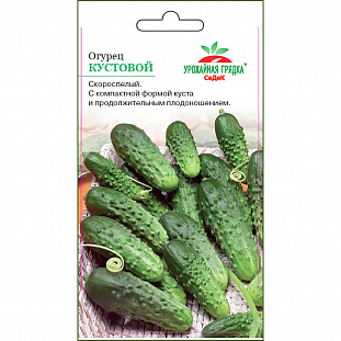 Семена Огурец Кустовой