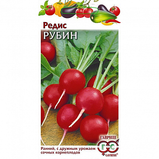Семена Редис Рубин