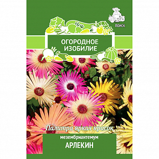 Мезембриантемум Арлекин Мезембриантемум Арлекин