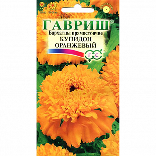 Семена Бархатцы Купидон оранжевый прямостоячие