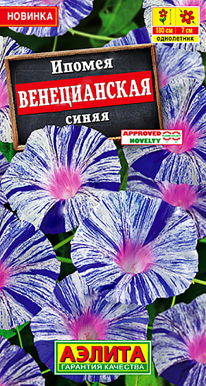 Семена цветов Ипомея Венецианская синяя.<br>
 <br>
 Великолепный сорт с редкой окраской цветков и суперобильным цветением. Отмечен Fleuroselect novelty 2009. Разрастается быстро, неприхотливый. Полосатость цветков стабильная, сохранятся на всем протяжении развития растения и в любую погоду. Стебли гибкие, сильноветвистые, длиной 160-180 см, способны легко “взобраться“ на любую опору. В короткие сроки создадут эффектный вертикальный занавес и украсят беседки, арки, шпалеры. Сорт прекрасно под ходит для выращивания в контейнерах как соло, так и в компании <br>
 с другими летниками.<br>
 <br>
 &nbsp;Посев семян в открытый грунт предварительно замоченными семенами, гнездами по 2-3 шт. Можно сеять на рассаду в горшочки в конце апреля, это ускорит цветение на 3-4 недели. Ипомея хорошо развивается и цветет на дренированных почвах без избытка органики.<br>