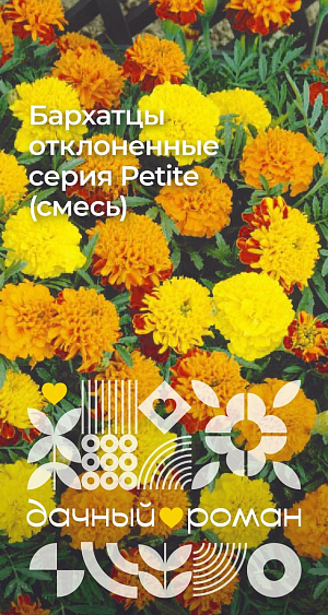 Семена Бархатцы отклоненные серия Petite (смесь)


Сортосмесь с ярко-желтой, оранжевой, шарлаховой окраской махровых соцветий до 5 см в диаметре. Растения сильноветвистые, компактные. Цветут все лето, включая осень. Прекрасные компаньоны для любых цветников. Теплолюбивые и засухоустойчивые. Подходят также для выращивания в контейнерах, на балконах. Можно высевать в грунт ранней весной или под зиму.
