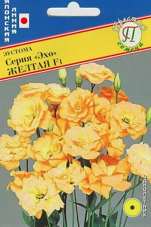 Эустома серии «Эхо» - это первая в мире серия с крупным махровым цветком раннего цветения. Высота растения 70 см, цветок диаметром 6-7 см, прекрасно смотрится в срезке.