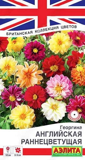 Семена Георгина Английская раннецветущая смесь сортов.&nbsp;Экстраранняя низкорослая георгина – яркая основа дизайна садовых клумб и палисадников. Смесь включает все возможные оттенки летнего настроения. Растения высотой до 50 см, компактные, ветвистые, крепкие, стойко переносят непогоду. Соцветия полумахрового типа, насыщенных глубоких цветов, крупные, диаметром 8-9 см. Cмесь неприхотливая, эффектная, отлично растет в ограниченном объеме грунта, может использоваться для срезки в небольшие букеты.<br>
 <br>
 &nbsp;Георгина – растение тепло- и светолюбивое. Предпочитает хорошо дренированные, плодородные почвы нейтральной кислотности. К концу вегетации образует корнеклубни, которые можно заложить на хранение и использовать для посадки в следующем сезоне.<br>