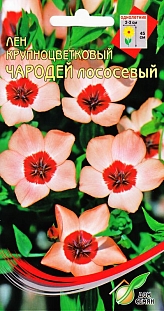 Лён крупноцветковый Чародей лососевый