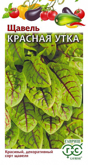 Семена Щавель Красная утка