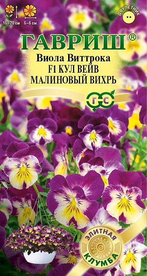 <div>
 Семена Виола Кул вейв малиновый вихрь F1.
</div>
 <article>
<p>
 Один из лучших гибридов среди ампельных виол! Мощное ветвистое растение с крупными, ароматными, бархатисто-нежными цветками удивительной расцветки и сочной изумрудной листвой станут идеальным решением для украшения балконов и террас. Цветок-настроение меняет свою окраску от насыщенных малиново-фиолетовых тонов, когда прохладно до легких солнечно-желтых в теплое время года. Такое «эмоциональное» цветение продолжительное, обильное и красочное, с ранней весны до осени. Благодаря силе и скорости роста культура быстро образует пышный нарядный кустик высотой 15-20 см.&nbsp;
</p>
<p>
 &nbsp;Влаголюбива, холодостойка, хорошо растет на солнце и в полутени. Для получения растений, цветущих в год посева, семена высевают на рассаду в феврале-марте. Всходы появляются через 5-7 дней. В открытый грунт рассаду высаживают в конце апреля-начале мая на расстоянии 10-15 см. Растения хорошо переносят пересадку в цветущем состоянии. При посеве в открытый грунт в июне-июле, цветение наступает на второй год.&nbsp;Очаровательная виола Кул вейв прекрасно будет смотреться в подвесных корзинах, вазонах и контейнерах, а также можно использовать как почвопокровное растение.
</p>
 </article>