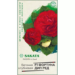 Семена Бегония Фортуна Дип ред F1