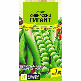 Семена Горох Сибирский гигант