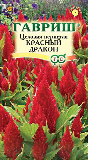 Семена Целозия Красный Дракон перистая.
Растения высотой до 70 см с зелеными листьями и оригинальными метельчатыми, густомахровыми соцветиями красной окраски. 
Цветут с июля по сентябрь. Теплолюбивые растения, наибольшей декоративности достигают при посадке на солнечных, защищенных от ветра, местах и достаточно плодородных почвах. 
Семена высевают в марте в рассадные ящики, слегка присыпая землей. При температуре почвы 18-25° С всходы появляются через 14-20 дней. Для выращивания полноценной рассады, производят две пикировки, одну - после развития у сеянцев нескольких листочков, вторую – в середине мая в горшки диаметром 7 см. Рассаду высаживают в открытый грунт в первой половине июня, когда минует угроза заморозков, выдерживая расстояние между растениями 20-25 см. Используют для посадки группами, на клумбах и для составления сухих композиций.