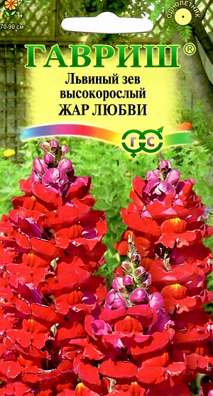 Семена Львиный зев высокорослый Жар любви.
Великолепный крупноцветковый срезочный сорт.Декоративное растение из семейства Норичниковые, культивируемое как однолетник, высотой 70-90 см. Цветет с конца июня до поздних заморозков. Цветки собраны в кистевидные соцветия темно-красной окраски. Холодостоек, светолюбив, к почвам нетребователен, в засушливый период нуждается в поливе. Выращивают рассадным способом. Посев проводят с начала марта до середины апреля. Всходы появляются через 8-12 дней. Рассаду высаживают во второй половине мая с расстоянием между растениями 35-40 см. Используется для групповых посадок и цветников, а также для получения высококачественной срезки (львиный зев стоит в воде до двух недель).