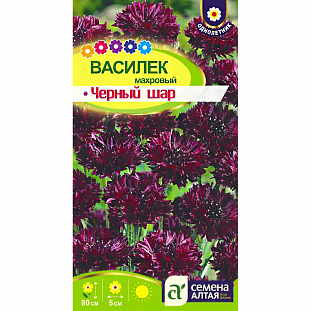 Семена Василек Черный шар махровый