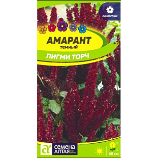 Семена Амарант Пигми Торч темный