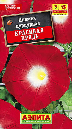 Семена Ипомея Красивая Прядь.
Неприхотливый, быстрорастущий сорт с яркими, крупными цветками-граммофончиками диаметром 10-12 см. Побеги прочные, ветвистые, способны обвить любую опору на высоту до 200 см. Растения неприхотливые, жаростойкие, засухоустойчивые, тепло- и светолюбивые. Хорошо переносят воздействие дождя и ветра. Идеально подходят для вертикального озеленения террас, беседок, пергол, декорирования заборов и стен домов. Отлично растут в контейнерах и балконных ящиках. 
Агротехника. Посев в открытый грунт предварительно замоченными семенами гнёздами по 2-3 шт. Всходы появляются на 5-7 день. Можно сеять на рассаду в горшочки в конце 
апреля, это ускорит цветение на 3-4 недели. Растениям необходимы регулярные поливы, прополки, рыхления и подкормки.