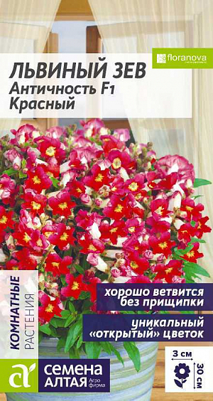 Семена Львиный зев Античность Красный.<br>
<br>
Уникальная открытая форма цветка. Растение отлично ветвится без прищипки, хорошо разрастается, формируя густой широкий кустик. Цветки крупные, насущенно-красного цвета со светлым «глазком» в центре, собраны в метельчатые соцветия. Однолетник. Можно выращивать в комнатных и уличных кашпо, балконных ящиках, контейнерах, вазонах.<br>
<br>
  Высота растения: 25-30 см. Ширина растения: 35-40 см. Диаметр цветка: 3 см.<br>
<br>
  Условия выращивания, место посадки: хорошо освещенные прохладные места. Требования к грунту: питательный хорошо дренированный грунт со слабокислой или нейтральной реакцией<br>
<br>
 Способ посева: семена высевают на уплотненное ложе замоченных торфяных таблеток или увлажненного торфяного грунта, заделывая на глубину 0,2-0,3 см или присыпая вермикулитом. Емкость накрывают прозрачной крышкой или пленкой до появления первых всходов, периодически проветривают. Оптимальная температура +21…22°С. После появления первых всходов рекомендуется организовать досветку 10-12 часов в сутки, температуру снижают до +18…20°С<br>
 Время до появления всходов: 7-10 дней<br>
<br>
  Перевалка: производится в стадии 2-4 настоящих листьев в рассадные емкости диаметром около 9 см, около 7 недели после посева<br>
 Время высадки в открытый грунт: май, когда ночные температуры не будут опускаться ниже +8°С<br>
 Посадочное расстояние: 30-40 см<br>
 Период цветения: май-сентябрь, в зависимости от сроков посева<br>
<br>
 Уход: не допускать переувлажнения, периодически давать субстрату просохнуть. При выращивании на улице требует профилактических обработок против грибковых заболеваний. При появлении паутинного клеща требуется обработка акарицидными препаратами. Подкормки проводят раз в две недели комплексными удобрениями с низким содержанием аммония.