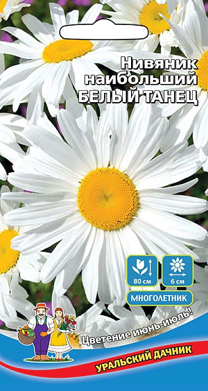 Семена Нивяник Белый танец. Популярное растение, которое известно под названием «ромашка». Высота до 80 см. Крупные, в диа- метре 6 см, цветки с белыми широкими лепестками и жёлтой серединой.

Отличается ранним цветением. Используются для групповых посадок в цветники, рядами на рабатки, а также для срезки в букеты.

Семена высевают весной для выращивания рассады или осенью – в открытый грунт. При весеннем посеве и температуре почвы 15 °C всходы появляются через 14-20 дней. После появления первых двух настоящих листьев сеянцы пикируют. В открытый грунт рассаду высаживают в мае – июне. Сеянцы зацветают на второй год. Кусты делят на 3-4-й год выращивания весной и рассаживают на расстояние 30 см.