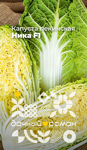 Семена Капуста пекинская Ника F1