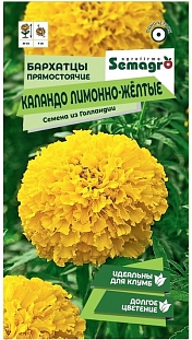 Бархатцы Каландо лимонно-жёлтые прямостоячие