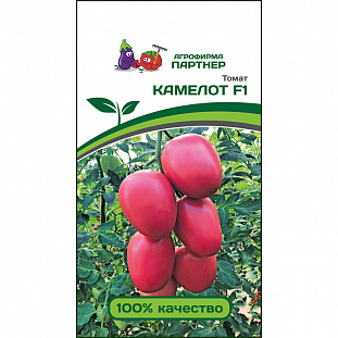 Семена Томат Камелот F1