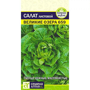 Семена Салат Великие Озера-659