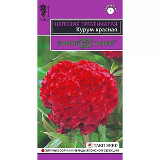 Целозия гребенчатая Курум красная Целозия гребенчатая Курум красная
